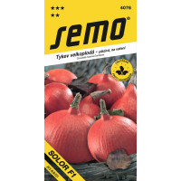 Tekvica SOLOR F1 oranžová, typ Hokkaido, bal. 8 s.