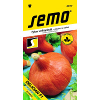 Tekvica DELICIAN F1 typ Hokkaido, bal. 10 g