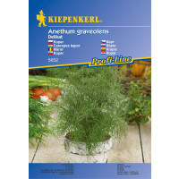 Kôpor Delikat, bal. na ca. 200 r.