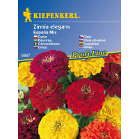 Zinnia Espana Mix / Cínia, bal. stačí pre 40 rastlín