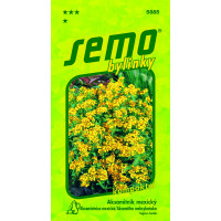 Tagetes lucida Cav. / Aksamietnica mexická, 0,5 g