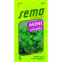 Ocimum basilicum L. / Bazalka pravá MAMMOLO GENOVESE (kompaktná do nádob), 0,8 g