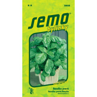 Ocimum basilicum / Bazalka ´LETTUCE LEAF´ (šalátová), bal. 1 g