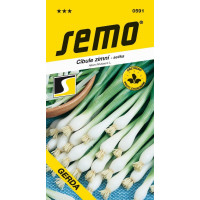 Cibuľa zimná na vňať ´GERDA´ BIO, bal. 2 g