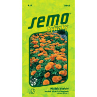 Calendula officinalis´PLAMEN PLUS´  / Nechtík lekársky, bal. 1 g