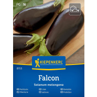 Baklažán Falcon, bal. 8 sem.