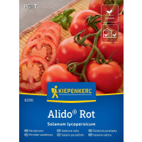 Rajčiny Bocati, bal. na 7 r. 