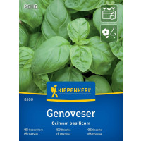 Bazalka širokolistá, bal. na ca. 150 r.