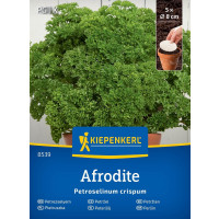 Petržlen kučeravý Afrodite, bal. 5 výs. kotúčov s priem. 8 cm