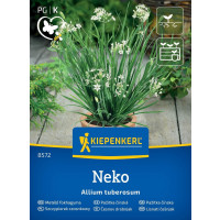 Allium tuberosum / Pažítka čínska Neko, bal. 100 sem.