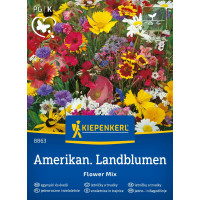 Americké poľné kvetiny zmes, bal. na 3-5 m2