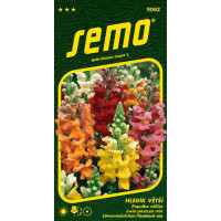 Antirrhinum majus / Papuľka väčšia ´MAJESTIC´, bal. 0,5 g