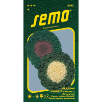 Brassica oleracea / Kel okrasný ´KAMOME F1 MIX´, bal. 20 s.