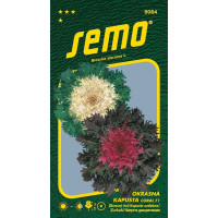 Brassica oleracea / Kel okrasný ´CORAL F1 MIX´, bal. 20 s.