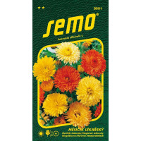 Calendula officinalis / Nechtík lekársky ´PACIFIC BEAUTY ZMES´, bal. 1 g