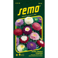 Callistephus chin. / Astrovka čínska ´POMPON ZMES´, bal. 0,5 g
