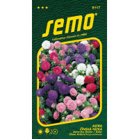 Callistephus chin. / Astrovka čínska ´COLOUR CARPET ZMES´, bal. 0,5 g