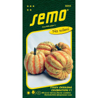 Cucurbita pepo / tekvica okrasná CELEBRATION F1, oranžová, tm. žíhaná, bal. 1 g