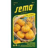 Cucurbita pepo / Tekvica okrasná ´JACK BE LITTLE´, bal. 1,5 g