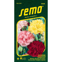 Dianthus caryophyllus / Klinček záhradný ´ZMES´, bal. 0,3 g