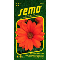 Gazania splendens hort. / Gazania lesklá NEW DAY CLEAR ORANGE F1, 15 s.