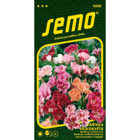 Godetia grandiflora / Godécia veľkokvetá ´MONARCH ZMES´, bal. 0,3 g