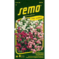 Gomphrena globosa / Gomfréna hlávkatá ´ZMES´, bal. 0,5 g