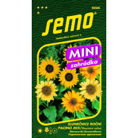 Helianthus annuus / Slnečnica ročná ´PACINO MIX´, bal. 15 s.