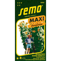 Helianthus annuus / Slnečnica ročná ´KONG F1´ (náhr. odr. TITAN), bal. 1,1 g