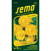 Helichrysum bracteatum / Slamiha slamienková ŽLTÁ veľkokvetá, bal. 0,4 g