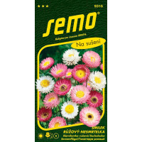 Helipterum roseum / Slamihovka ružová ´ZMES´, bal. 0,5 g