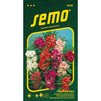 Impatiens balsam. / Netýkavka balzamínová ´ZMES FARIEB´, bal. 0,7 g