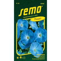 Ipomoea purpurea / Povojník ´AZUR´, bal. 1,5 g