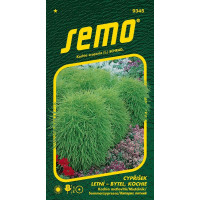 Kochia scoparia / Kochia metlovitá - cypruštek zelený, bal. 0,7 g