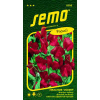 Lathyrus odoratus L. / Hrachor voňavý MAMMOTH SCARLET, 2 g.