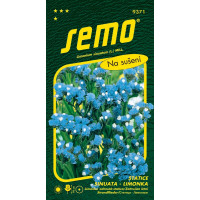 Limonium sinuatum / Limonka zohnutá ´AMETYST/BLUE´ (náhr. odr. HEAVENLY BLUE), bal. 0,5 g