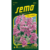 Limonium sinuatum / Limonka zohnutá ´ROSEA SUPERBA´, bal. 0,5 g