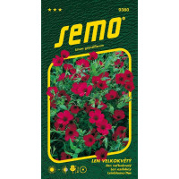 Linum grandiflorum / Ľan veľkokvetý ´ČERVENÝ´, bal. 0,5 g