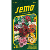 Nemesia strumosa / nemézia ´CARNAVAL ZMES´, bal. 0,2 g