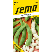 Fazuľa záhradná kolíková ´ALBENA´, 10 sem