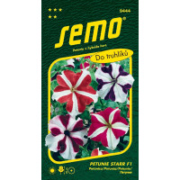 Petunia hybrida / Petúnka mnohokvetá ´STAR F1´, bal. 30 tabl.