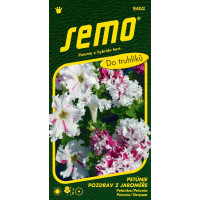 Petunia hybrida / Petúnka mnohokv. ´POZDRAV Z JAROMĚŘE´, bal. 50 tabl.