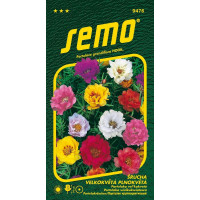 Portulaca grandifl. / Portulaka veľkokvetá ´PLNOKVETÁ´, bal. 0,2 g
