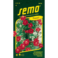 Quamoclit cardinalis / Kvamoklit ´KARDINÁL´, bal. 1 g
