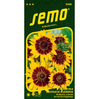Rudbeckia hirta / Rudbekia srstnatá ´GLORIA DAISY´, bal. 0,5 g