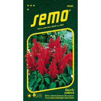 Salvia splendens / Šalvia ´KARKULKA´, bal. 0,5 g