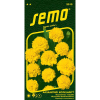 Tagetes patula / Aksamietnica rozložitá ´PETIT ŽLTÝ´, bal. 1 g
