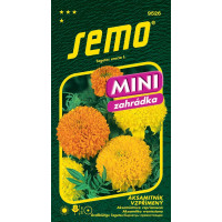 Tagetes erecta / Aksamietnica vzpriamená ´CUPIDON ZMES´, bal. 0,5 g