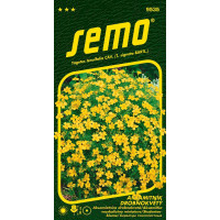 Tagetes tenuifolia / Aksamietnica drobnokvetá ´ŽLTÁ´, bal. 0,2 g