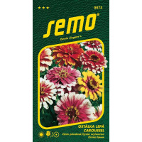 Zinnia elegans / Cínia ´CAROUSSEL´, bal. 0,7 g